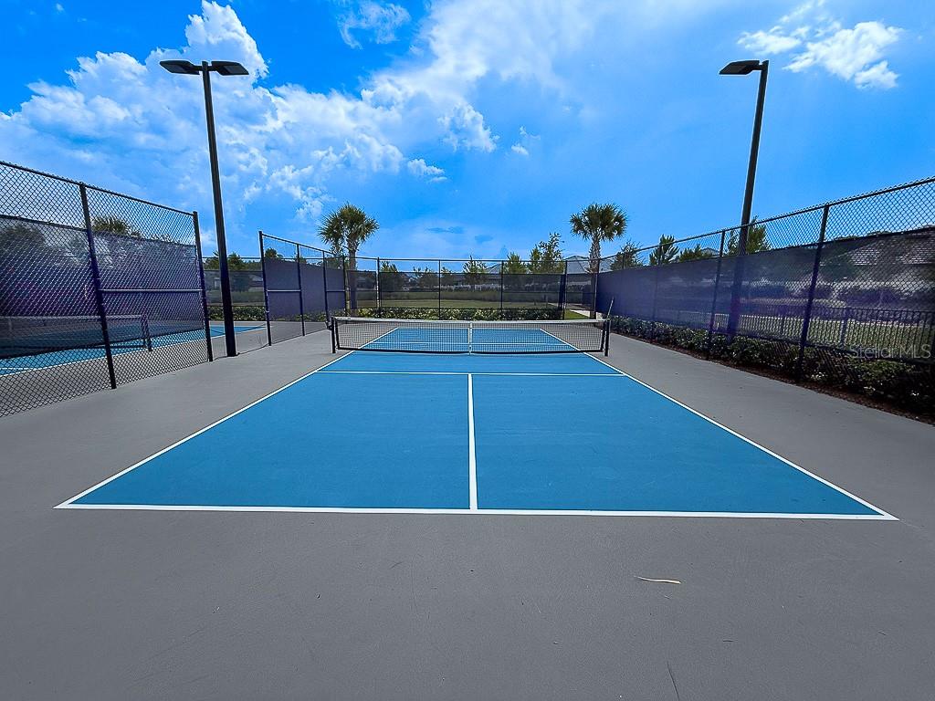 10367 BANYAN BREEZE BLVD, LAND O LAKES, FL, 34638