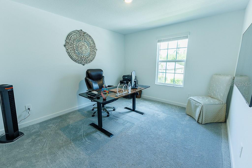 10367 BANYAN BREEZE BLVD, LAND O LAKES, FL, 34638