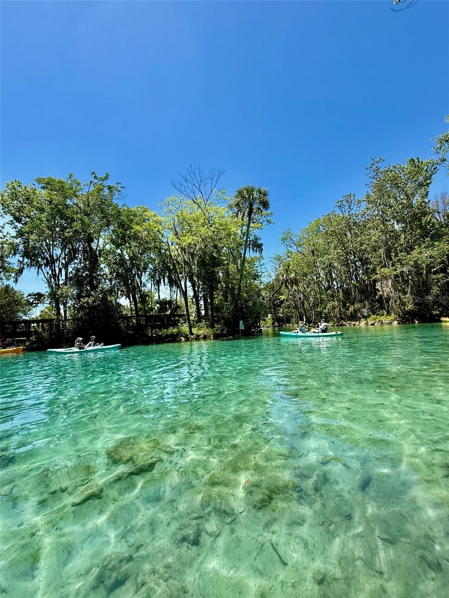 19439 SW 101ST PLACE RD, DUNNELLON, FL, 34432