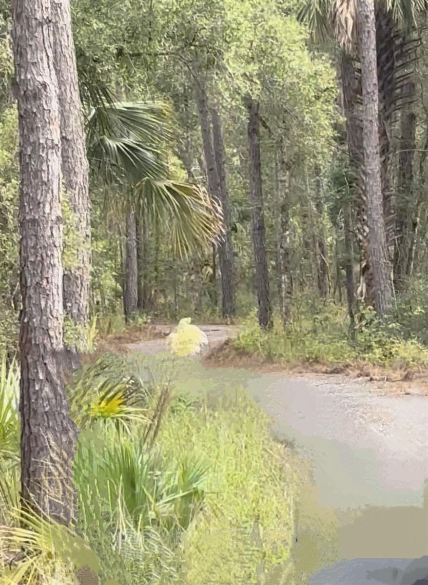 000 NE 92ND AVE RD, FORT MC COY, FL, 32134