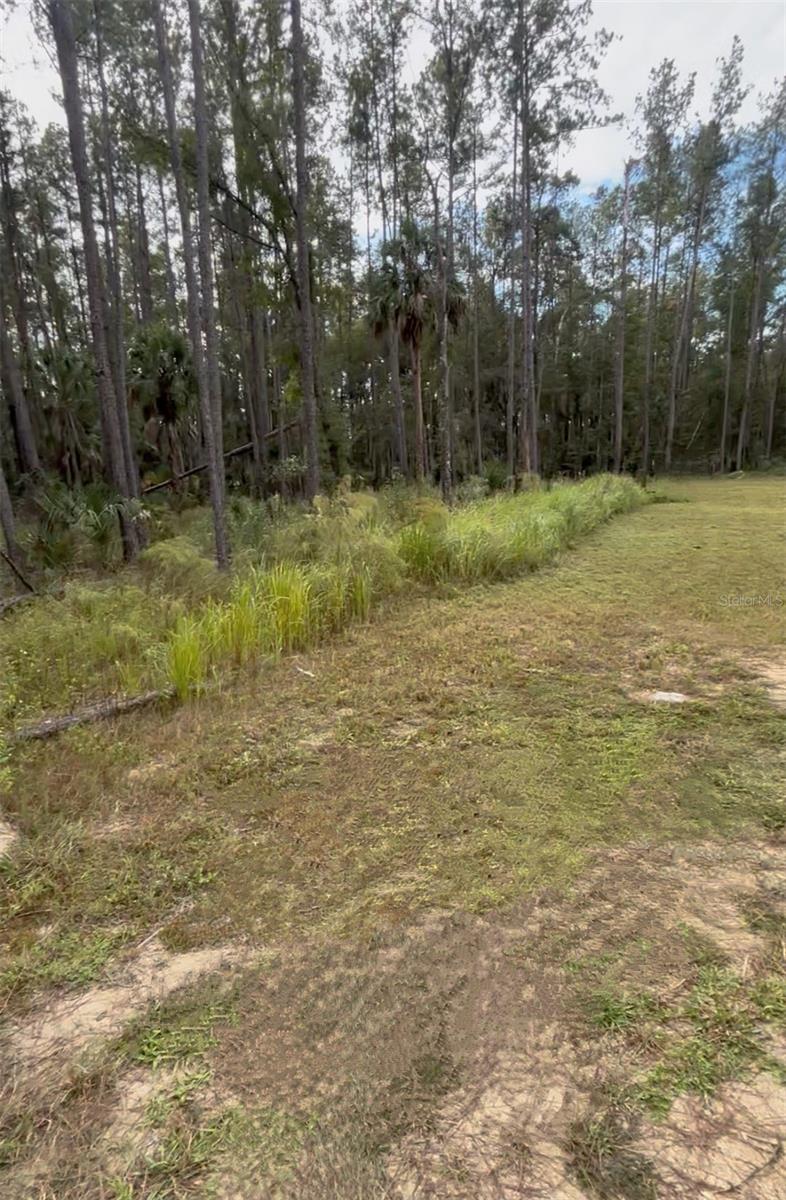 000 NE 92ND AVE RD, FORT MC COY, FL, 32134