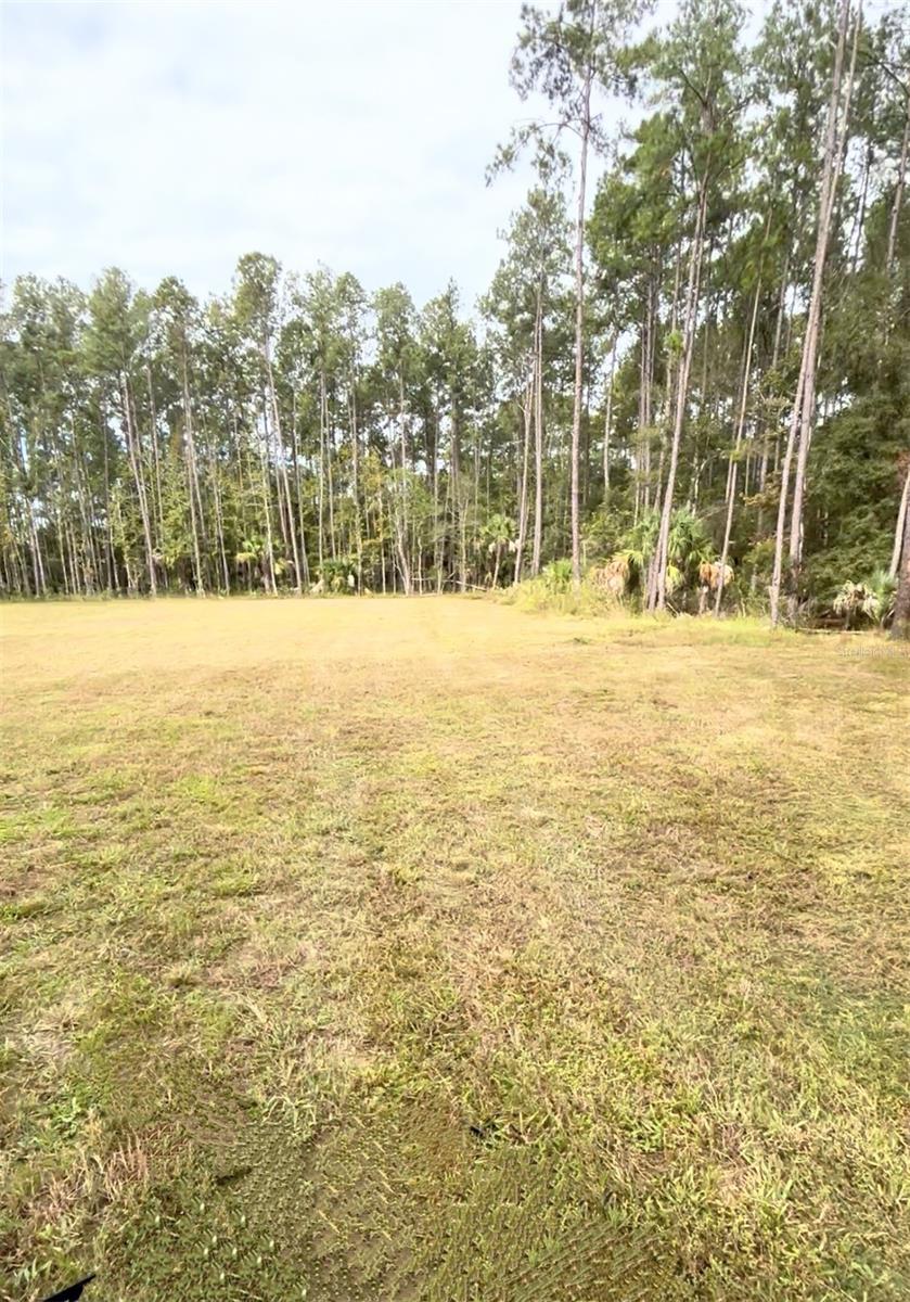 000 NE 92ND AVE RD, FORT MC COY, FL, 32134