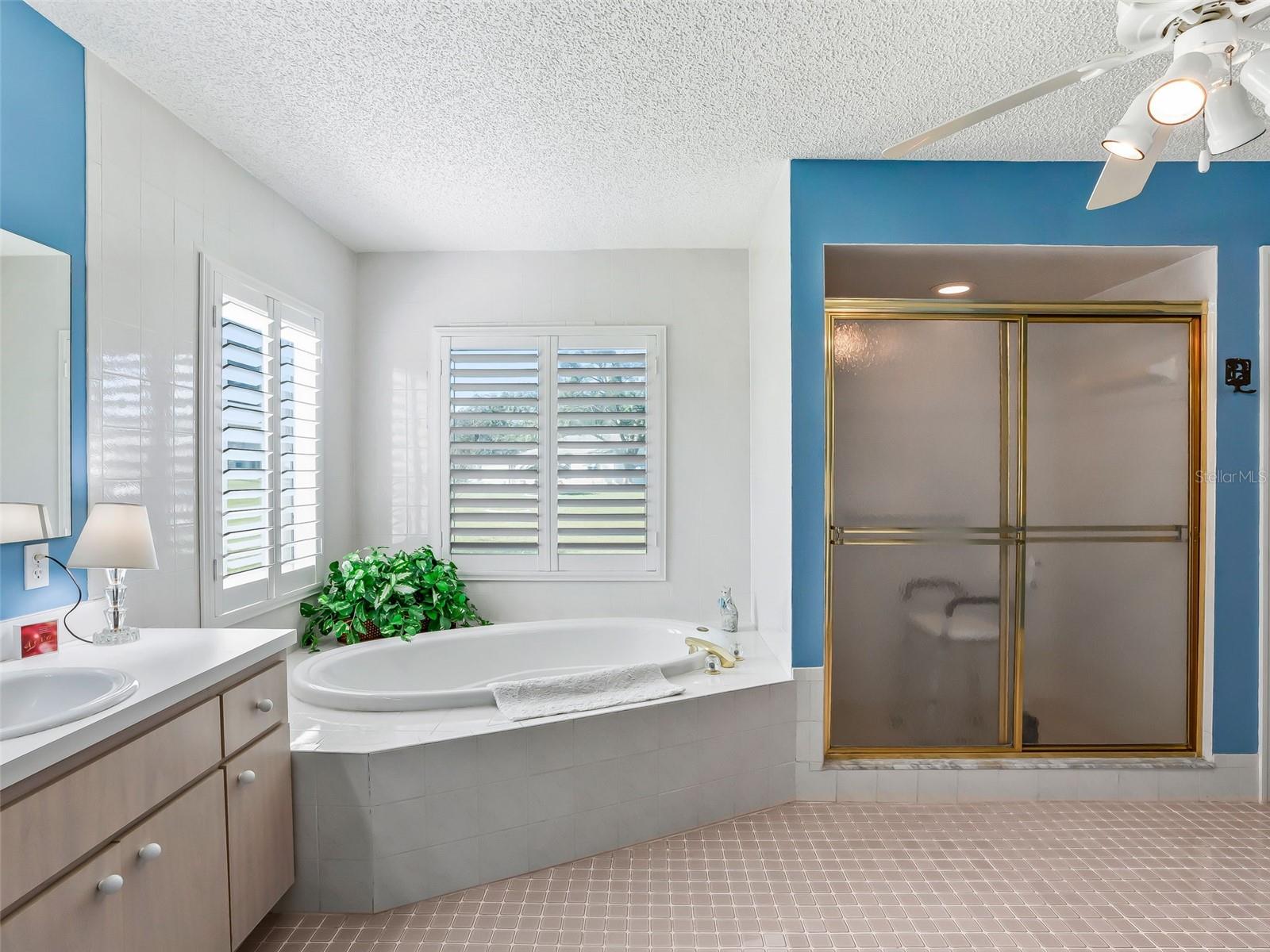 9772 SE 175TH LN, SUMMERFIELD, FL, 34491