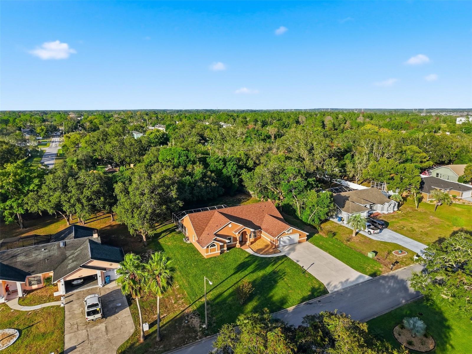 11449 EMERALD RIDGE CT, SPRING HILL, FL, 34609