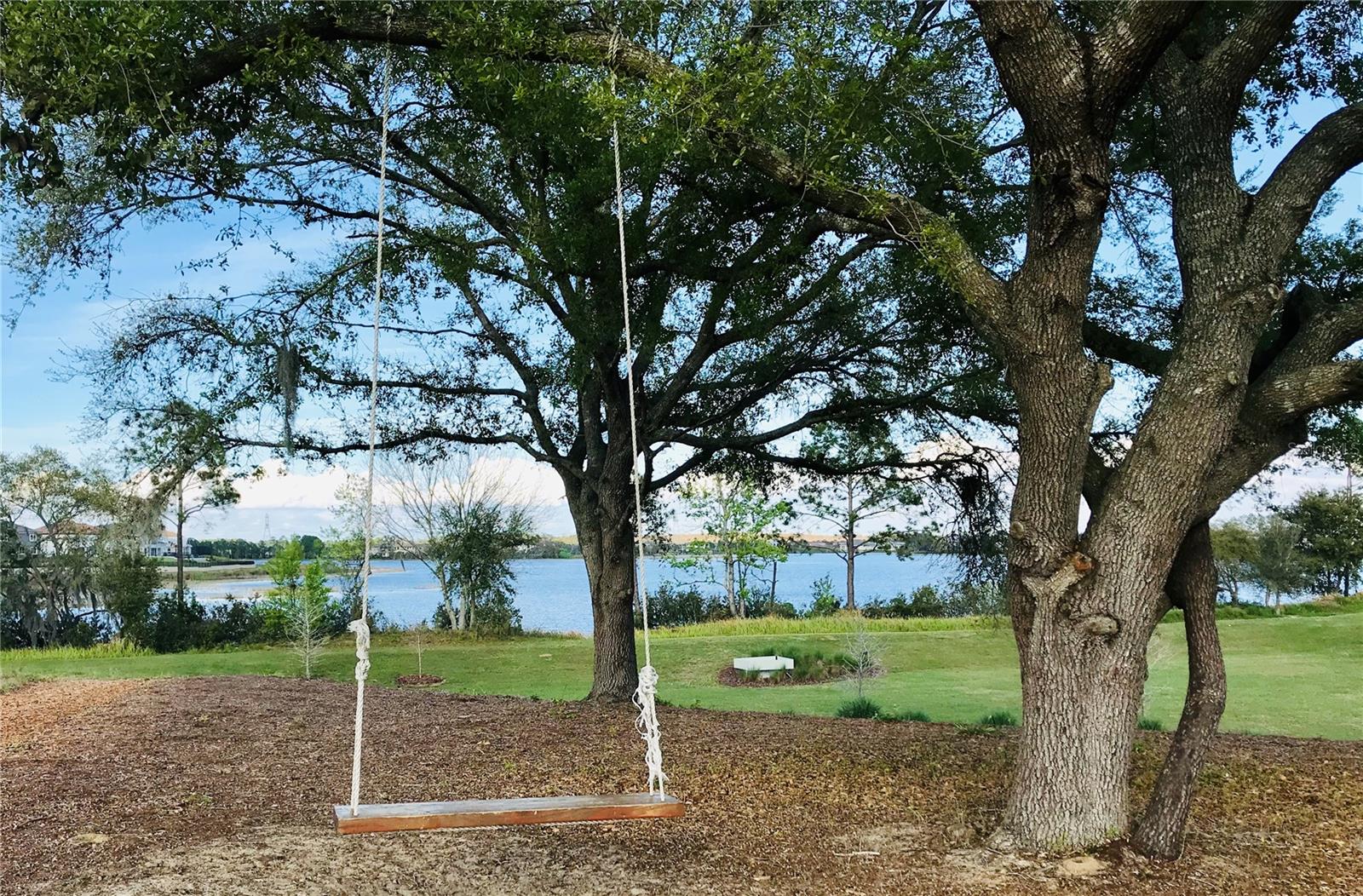 15479 SUGAR CITRUS DR, WINTER GARDEN, FL, 34787