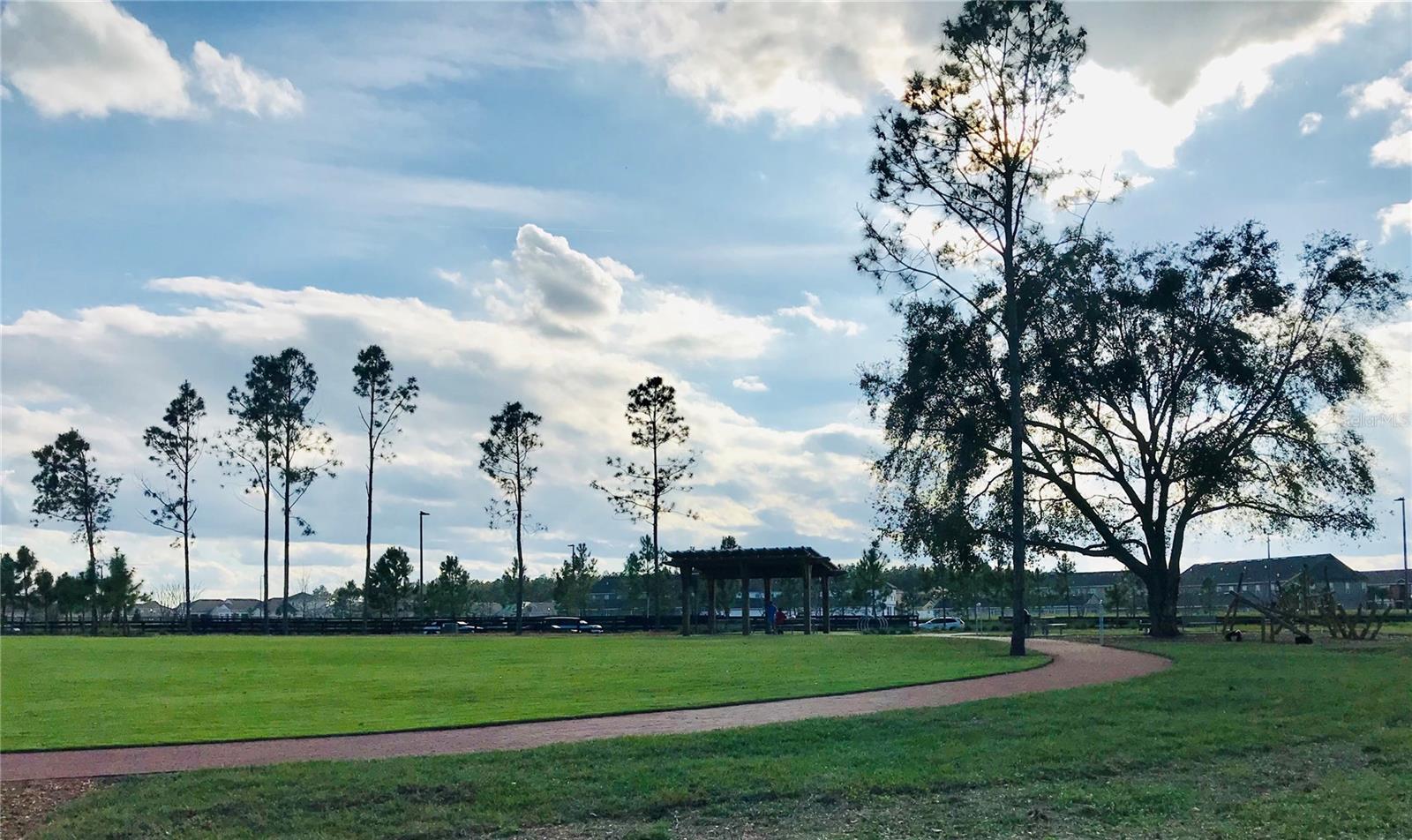 15479 SUGAR CITRUS DR, WINTER GARDEN, FL, 34787