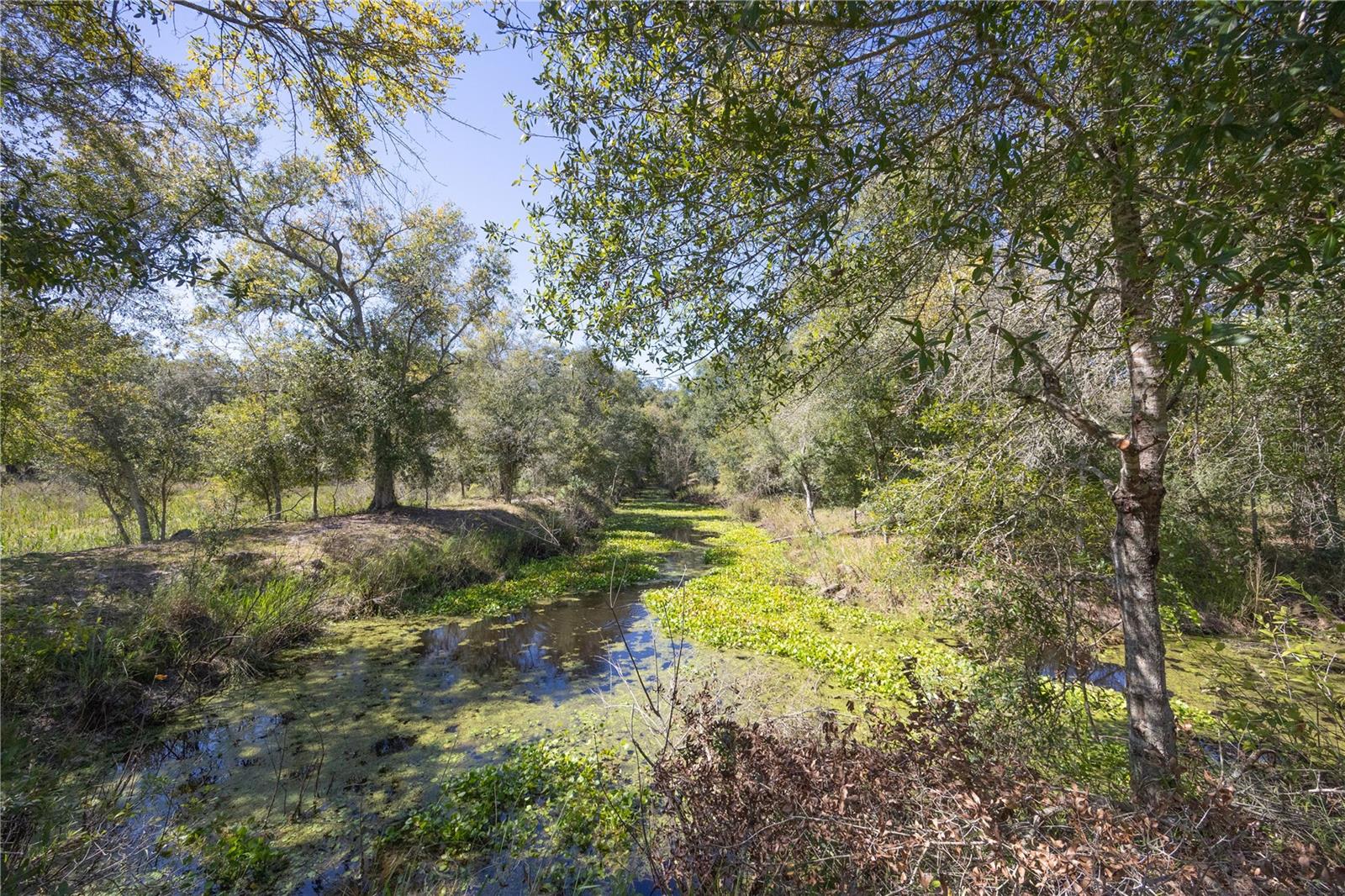 TBD CR 673, WEBSTER, FL, 33597