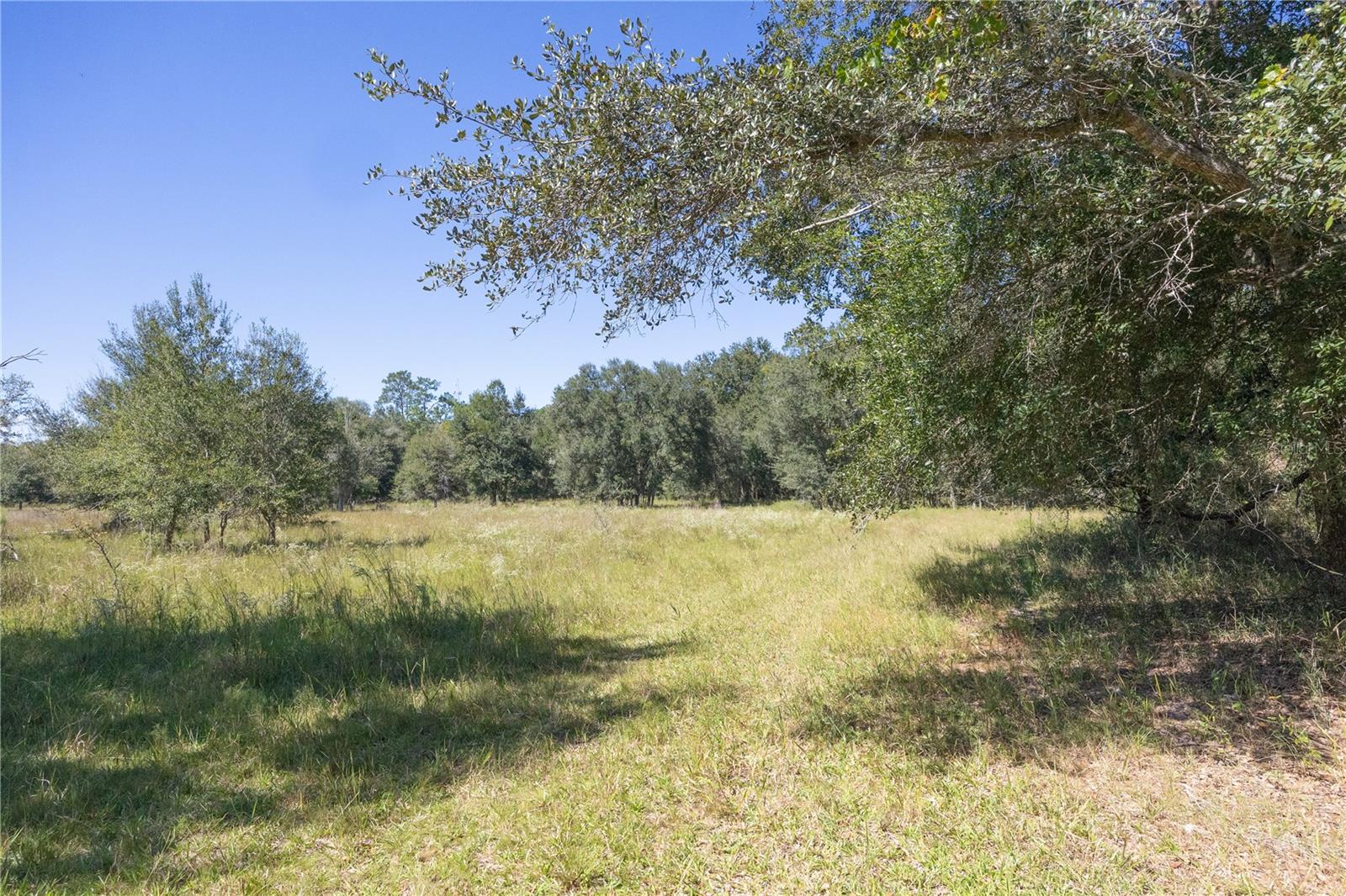TBD CR 673, WEBSTER, FL, 33597