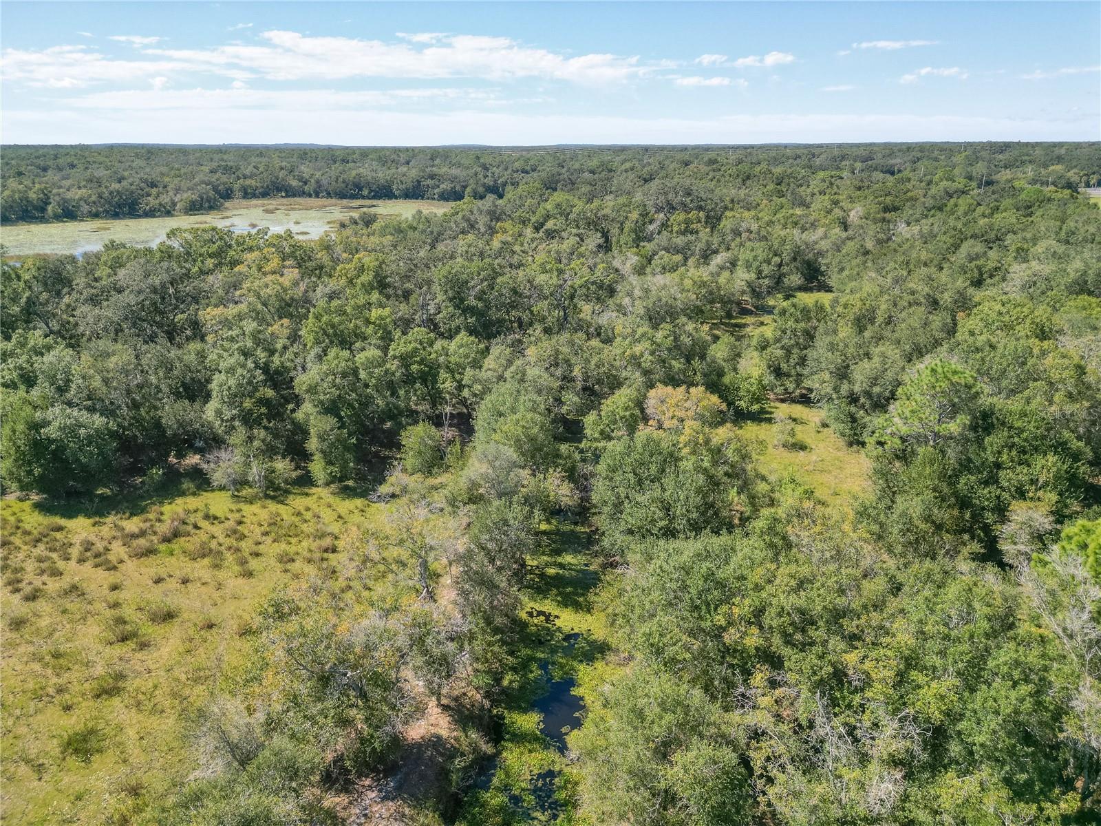 TBD CR 673, WEBSTER, FL, 33597
