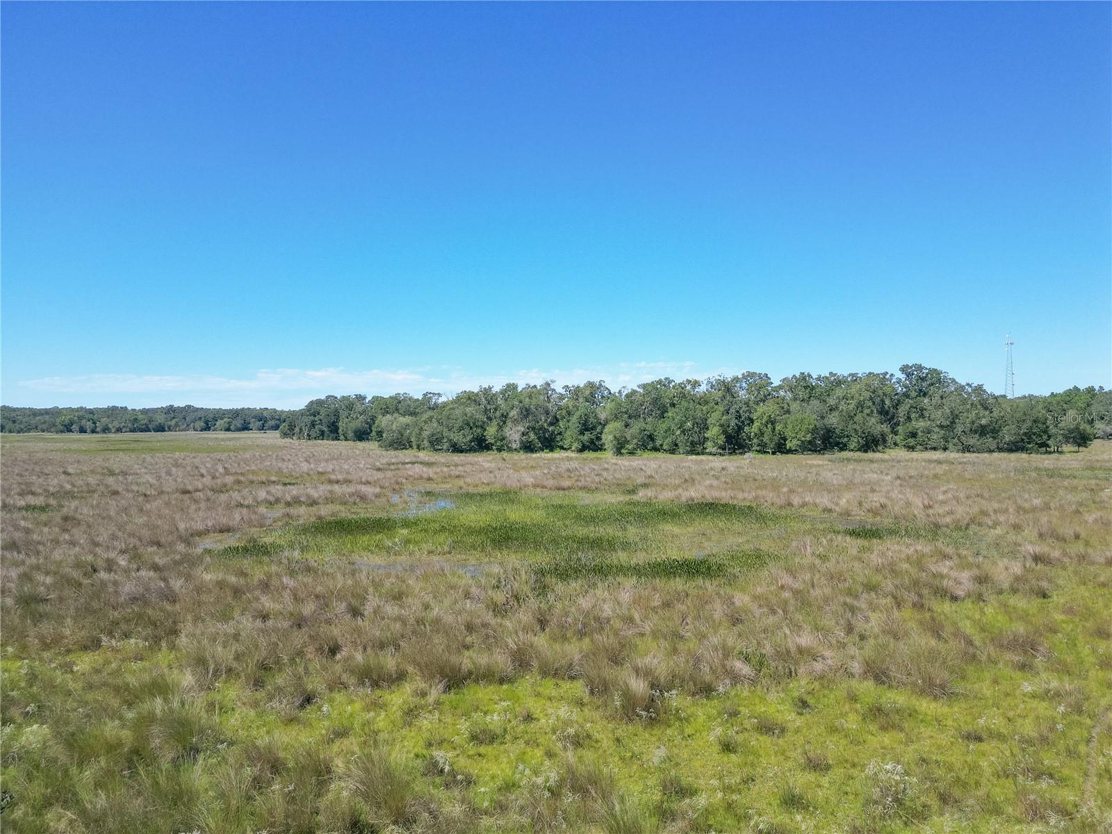 TBD CR 673, WEBSTER, FL, 33597