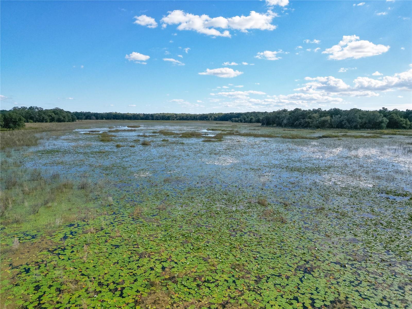 TBD CR 673, WEBSTER, FL, 33597