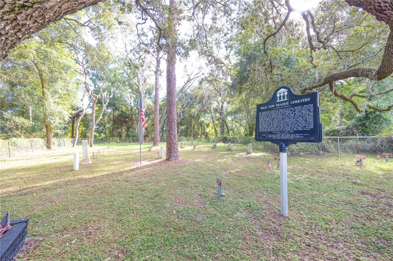 TBD CR 673, WEBSTER, FL, 33597
