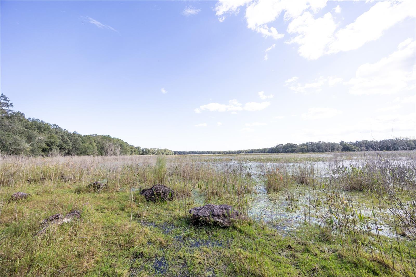 TBD CR 673, WEBSTER, FL, 33597