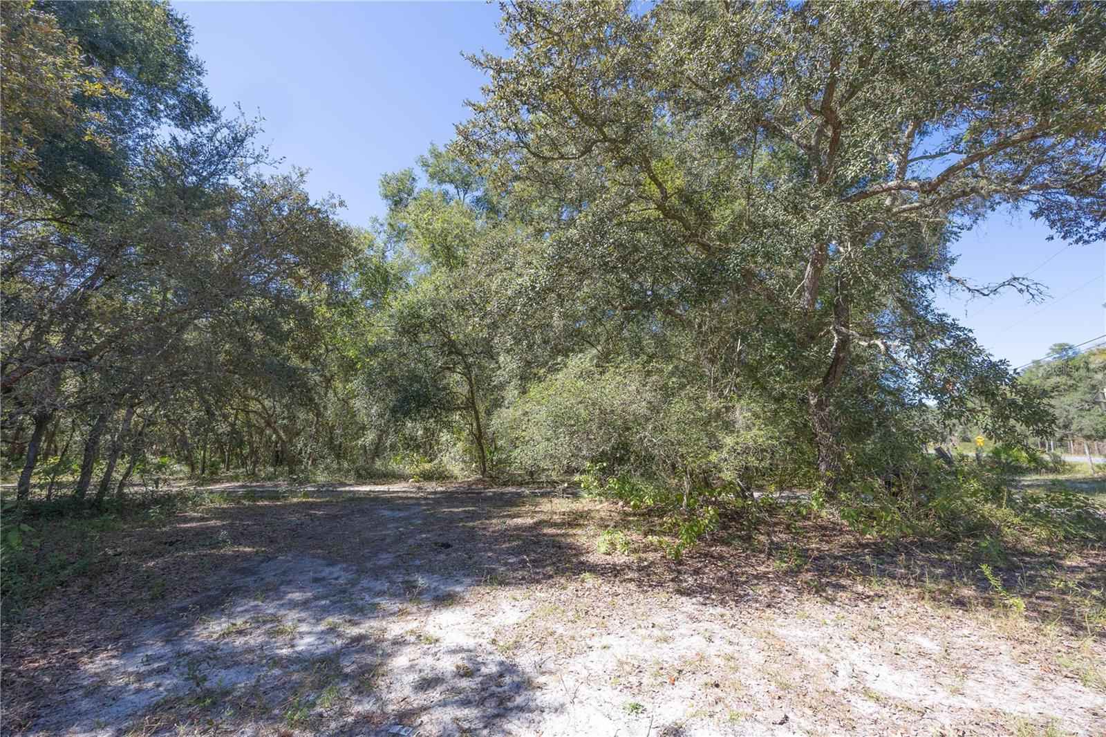 TBD CR 673, WEBSTER, FL, 33597
