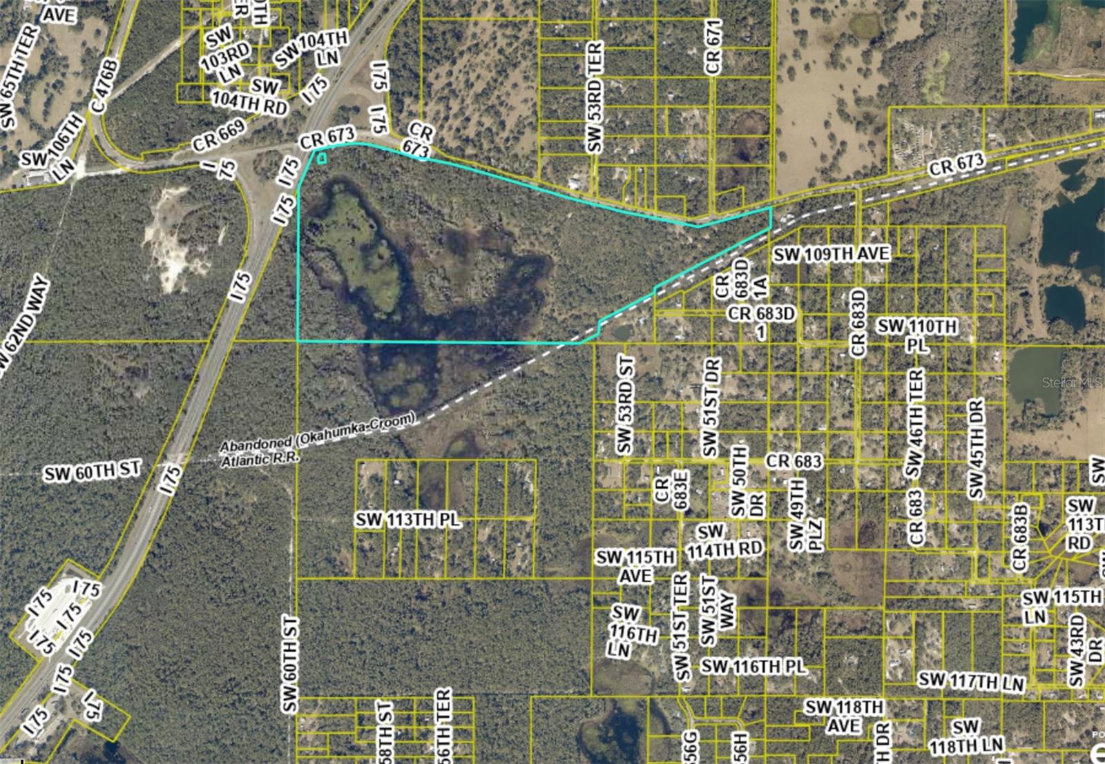 TBD CR 673, WEBSTER, FL, 33597