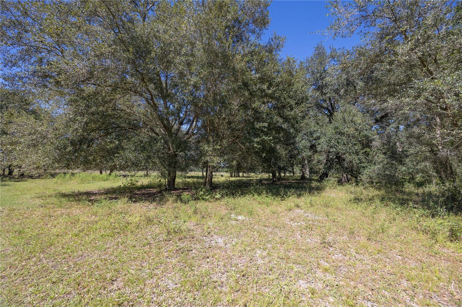 TBD CR 673, WEBSTER, FL, 33597