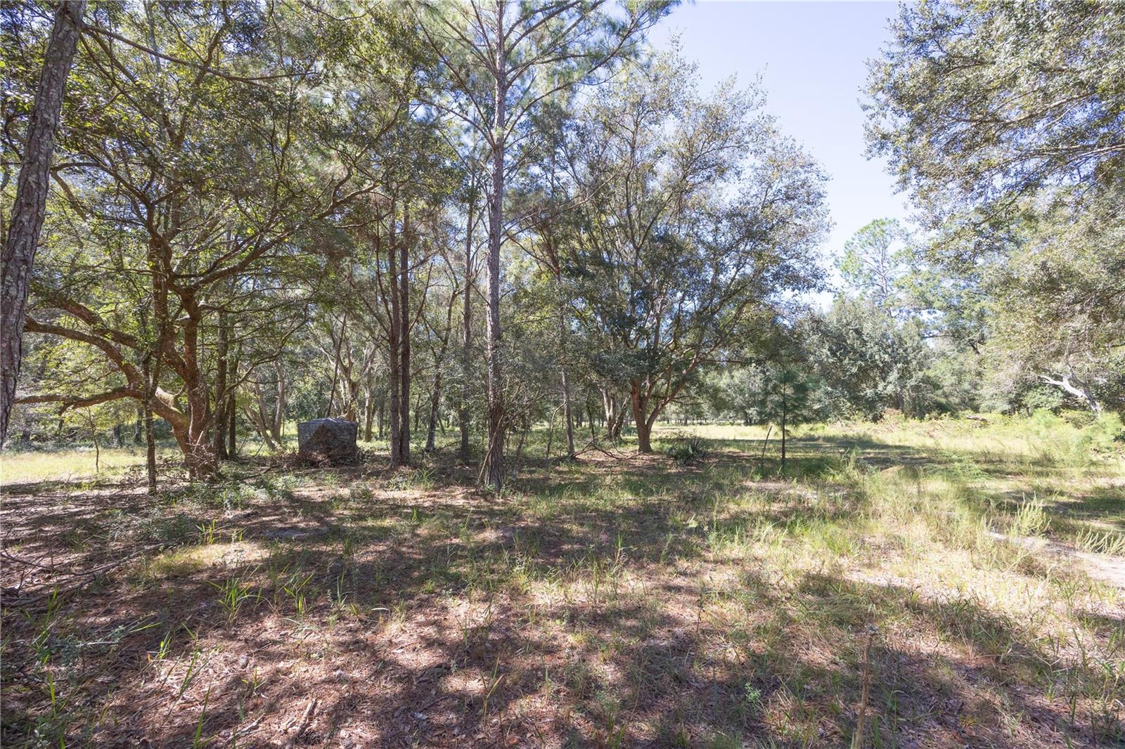 TBD CR 673, WEBSTER, FL, 33597