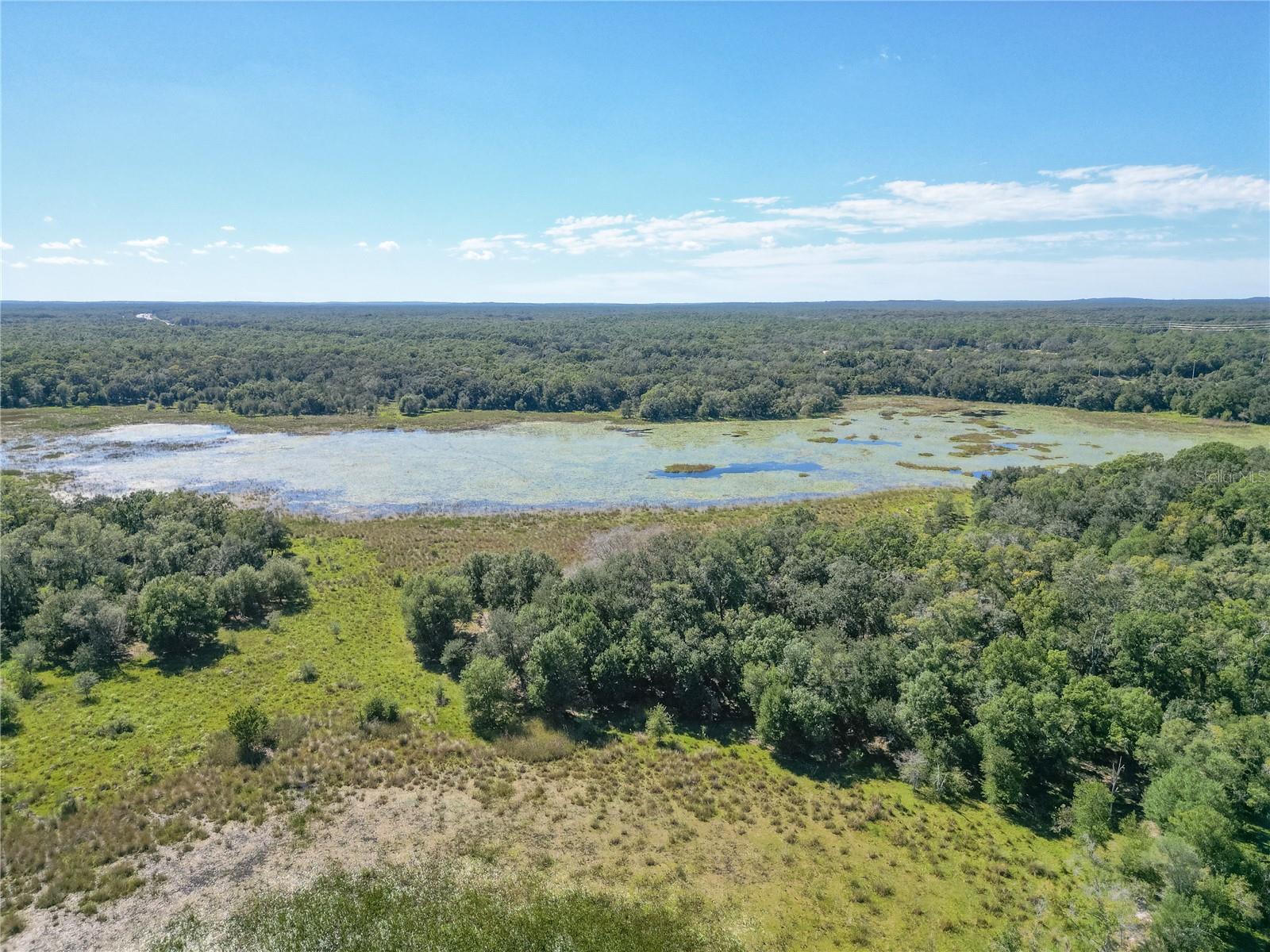 TBD CR 673, WEBSTER, FL, 33597
