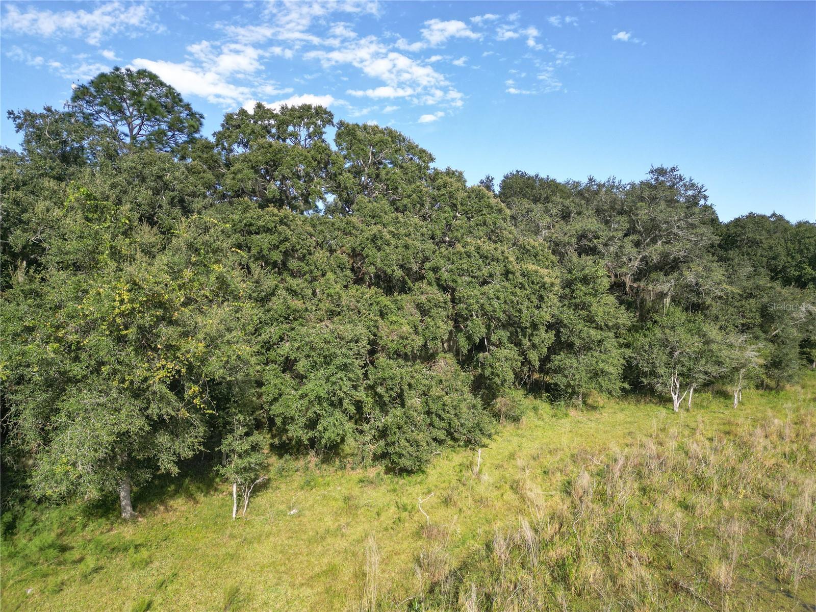 TBD CR 673, WEBSTER, FL, 33597