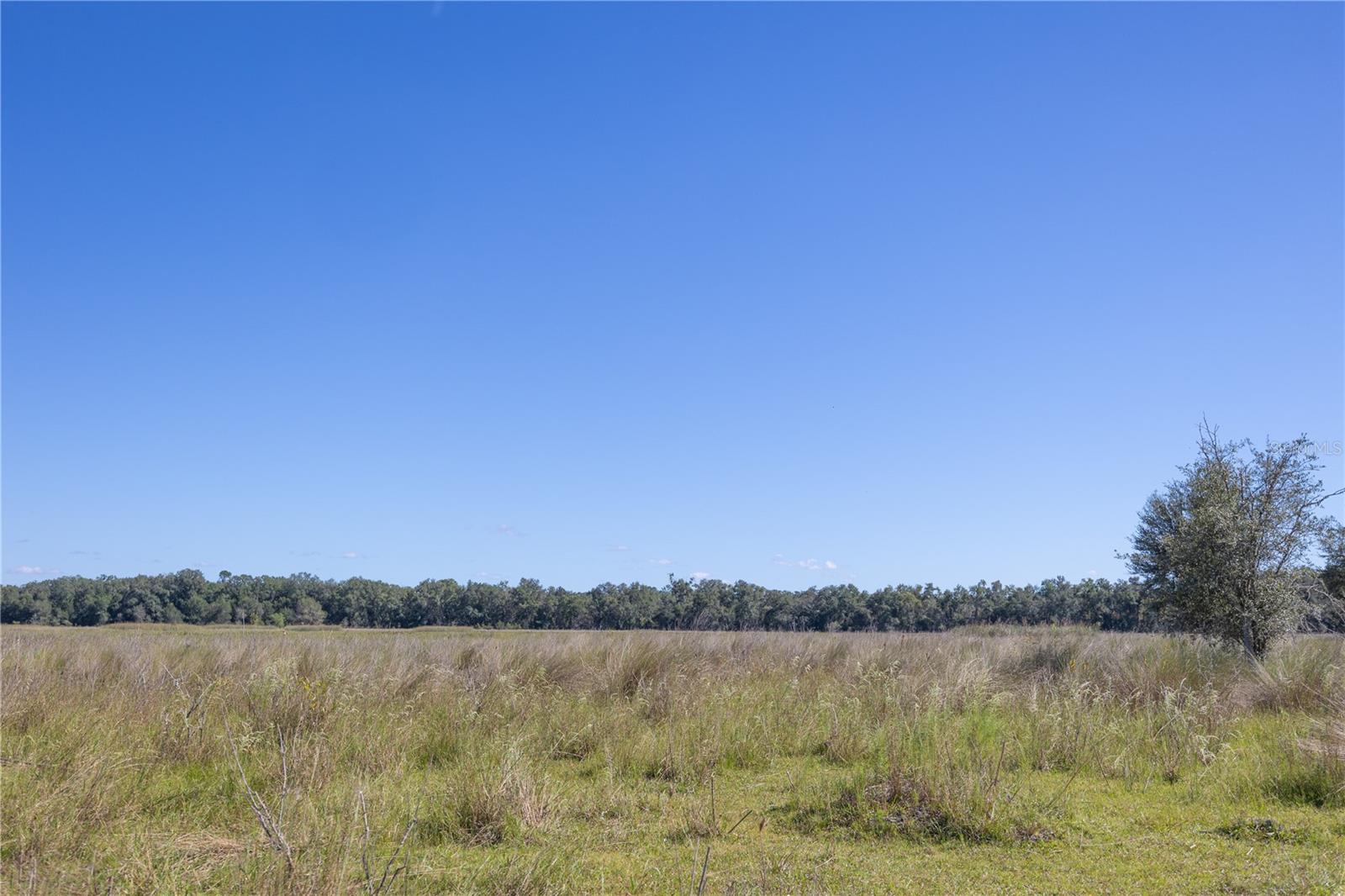 TBD CR 673, WEBSTER, FL, 33597