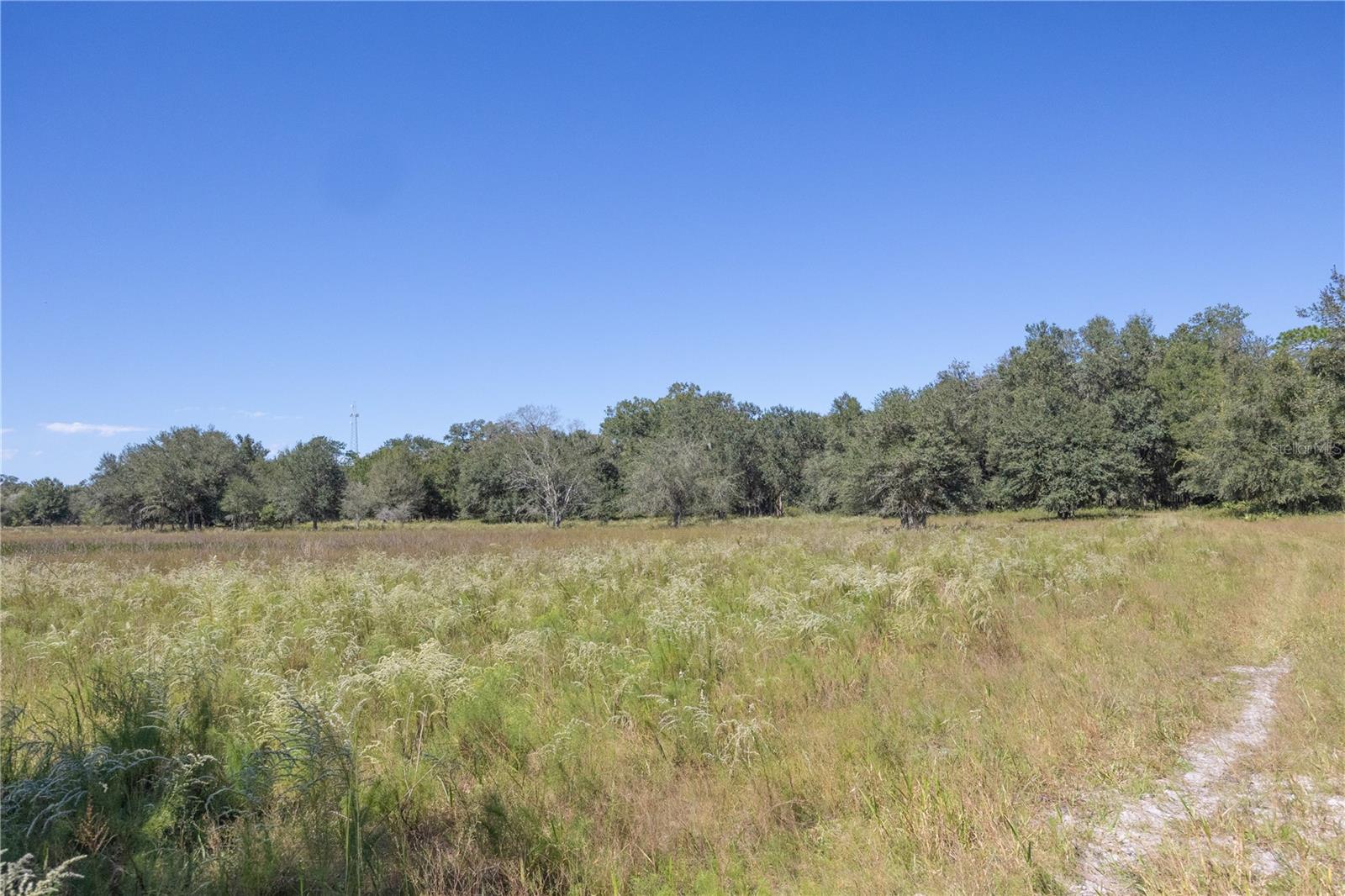 TBD CR 673, WEBSTER, FL, 33597
