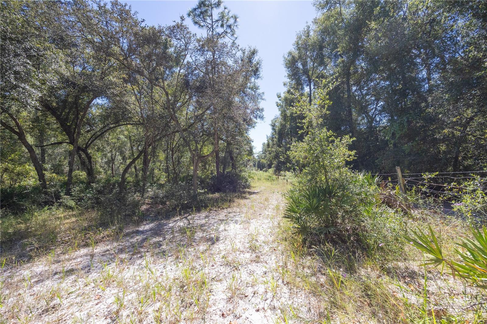 TBD CR 673, WEBSTER, FL, 33597