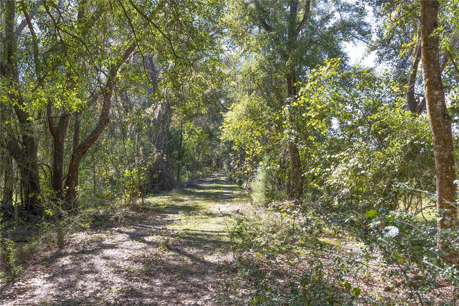 TBD CR 673, WEBSTER, FL, 33597