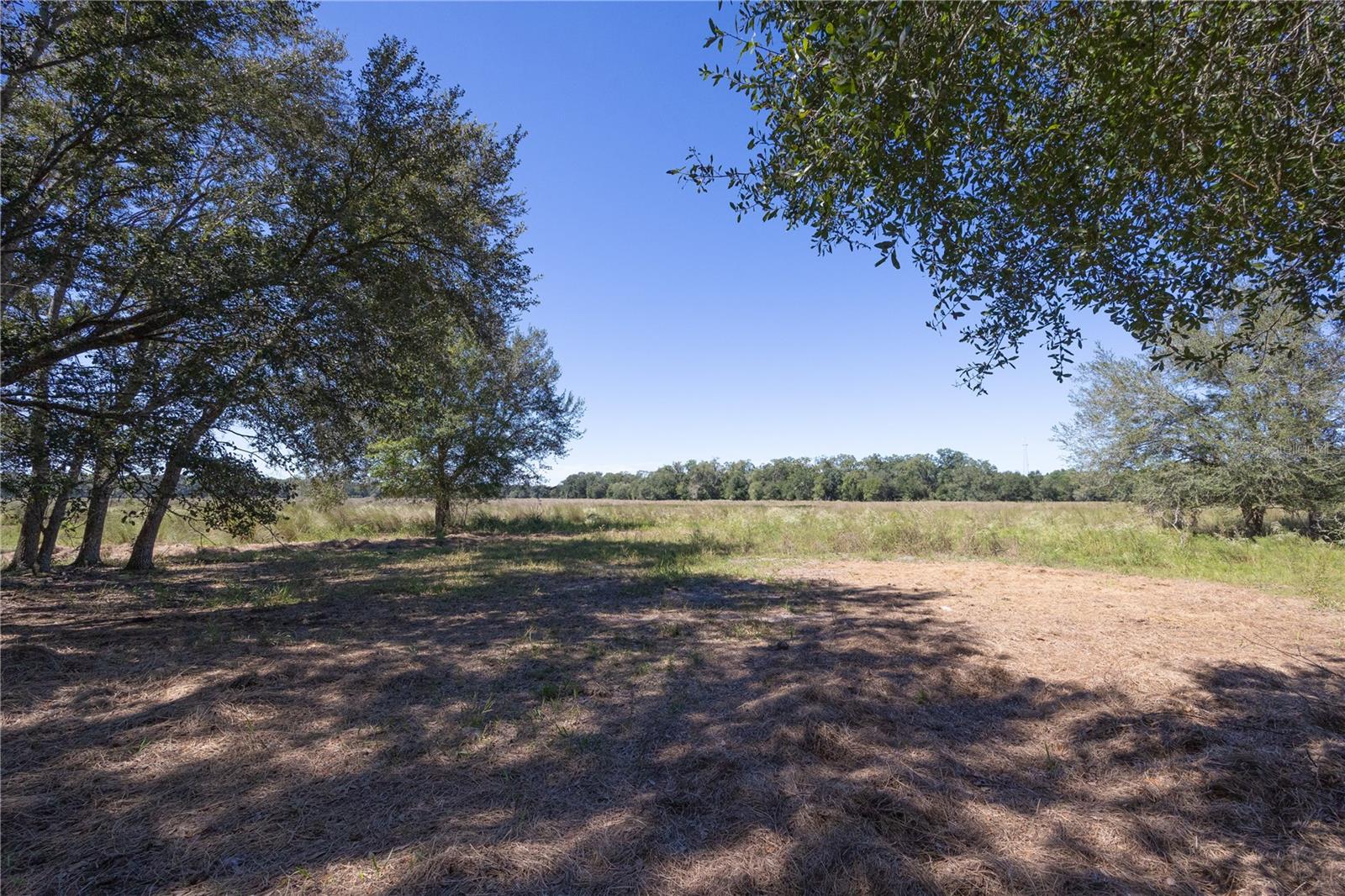 TBD CR 673, WEBSTER, FL, 33597