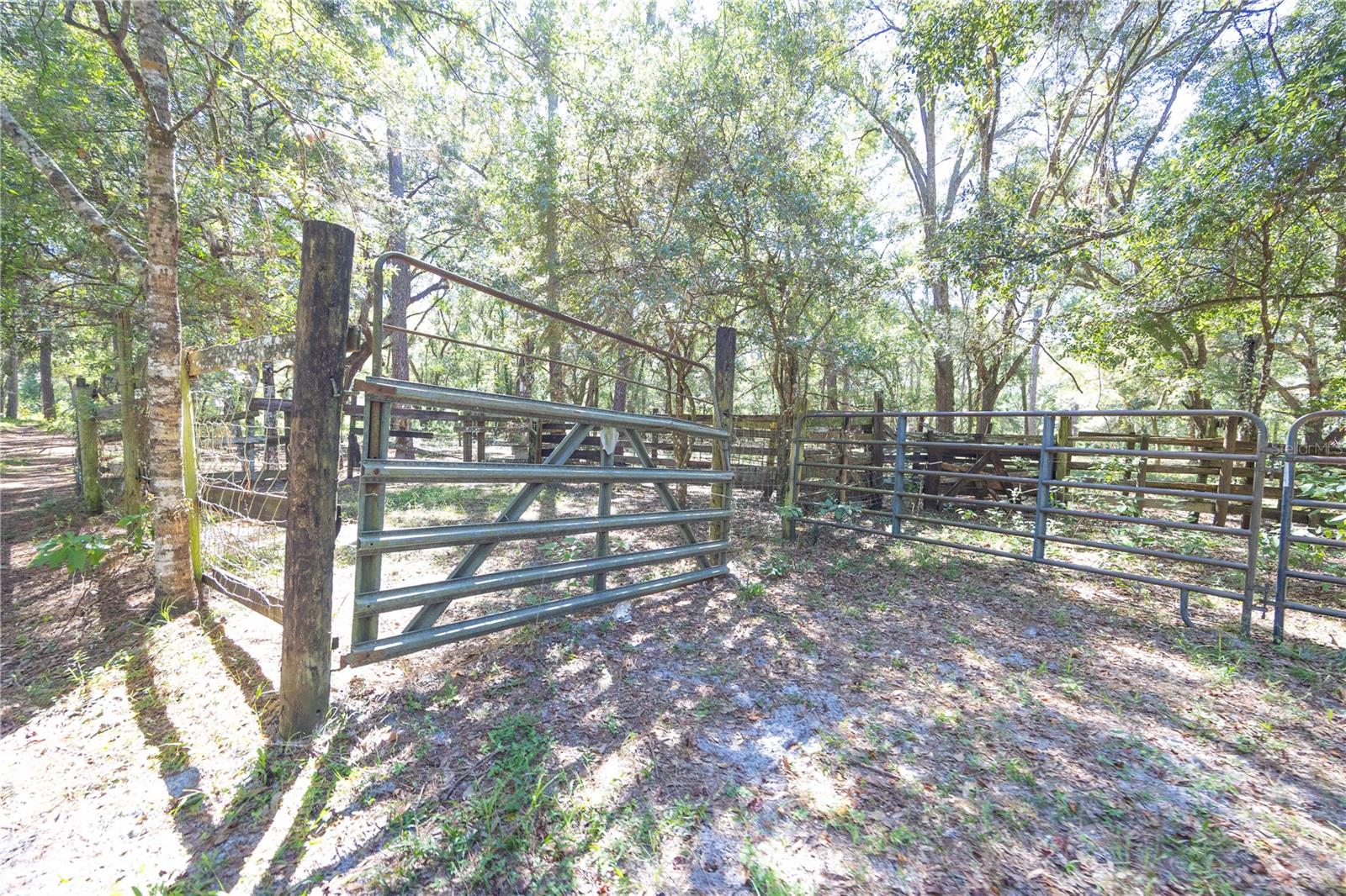 TBD CR 673, WEBSTER, FL, 33597