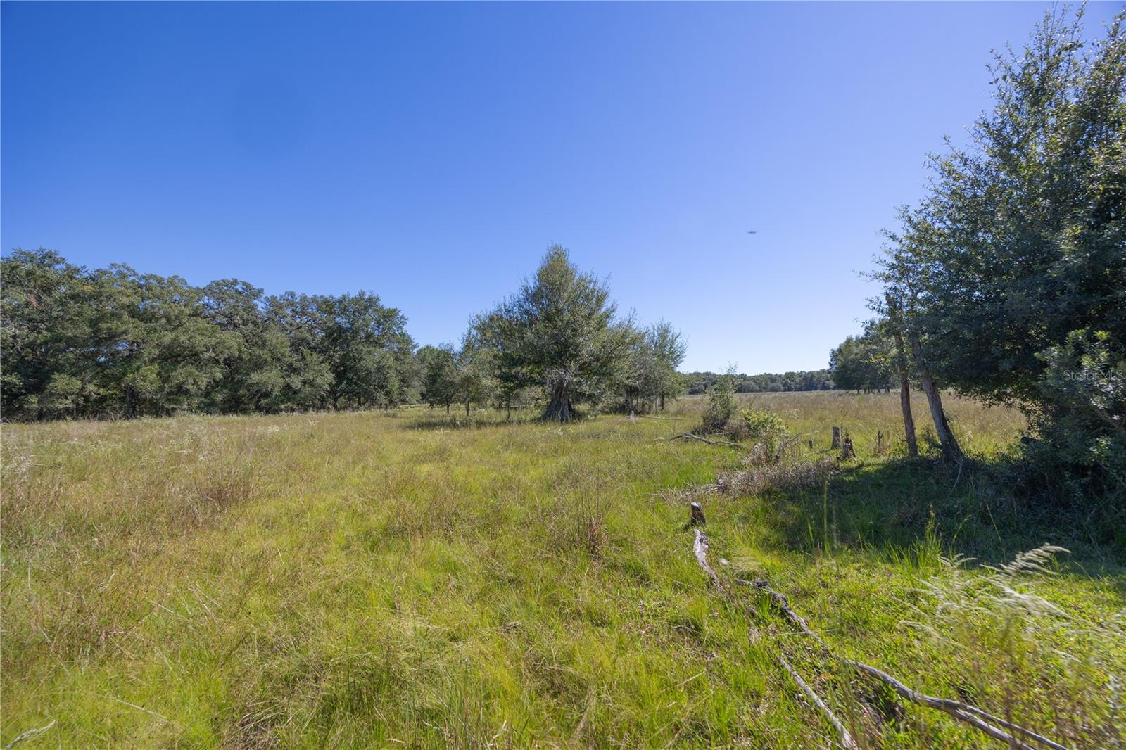TBD CR 673, WEBSTER, FL, 33597