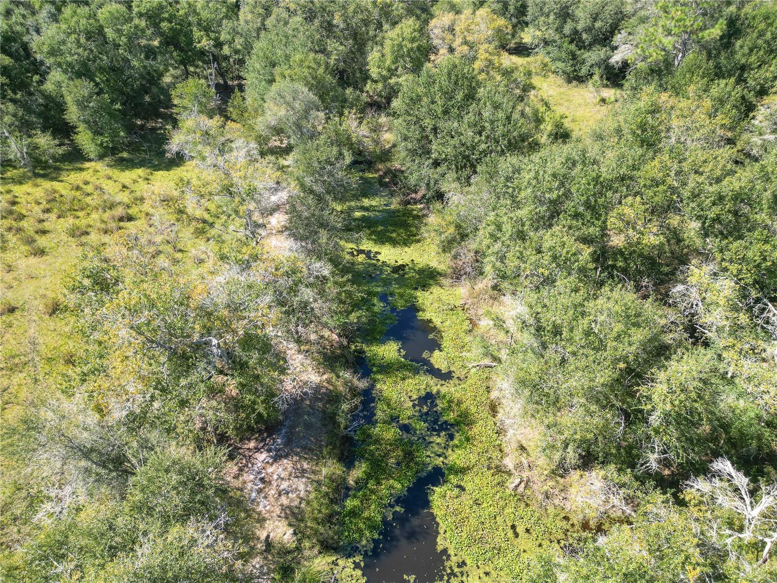 TBD CR 673, WEBSTER, FL, 33597