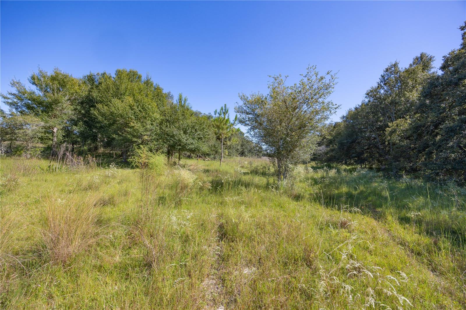 TBD CR 673, WEBSTER, FL, 33597