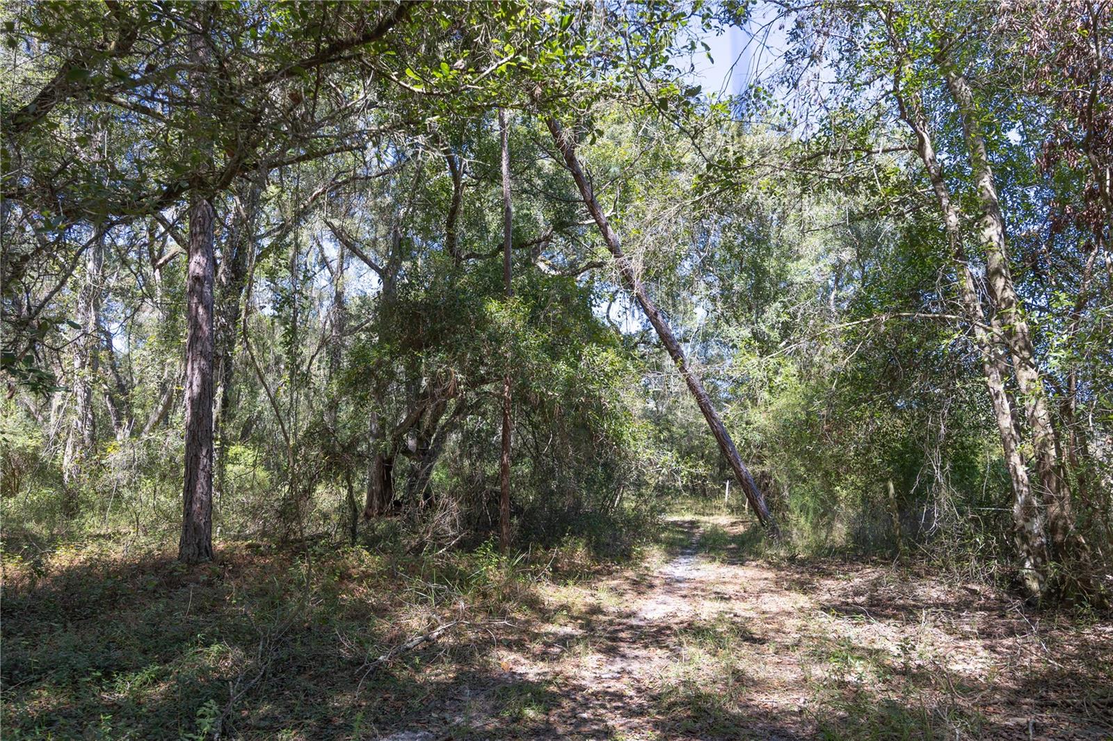 TBD CR 673, WEBSTER, FL, 33597