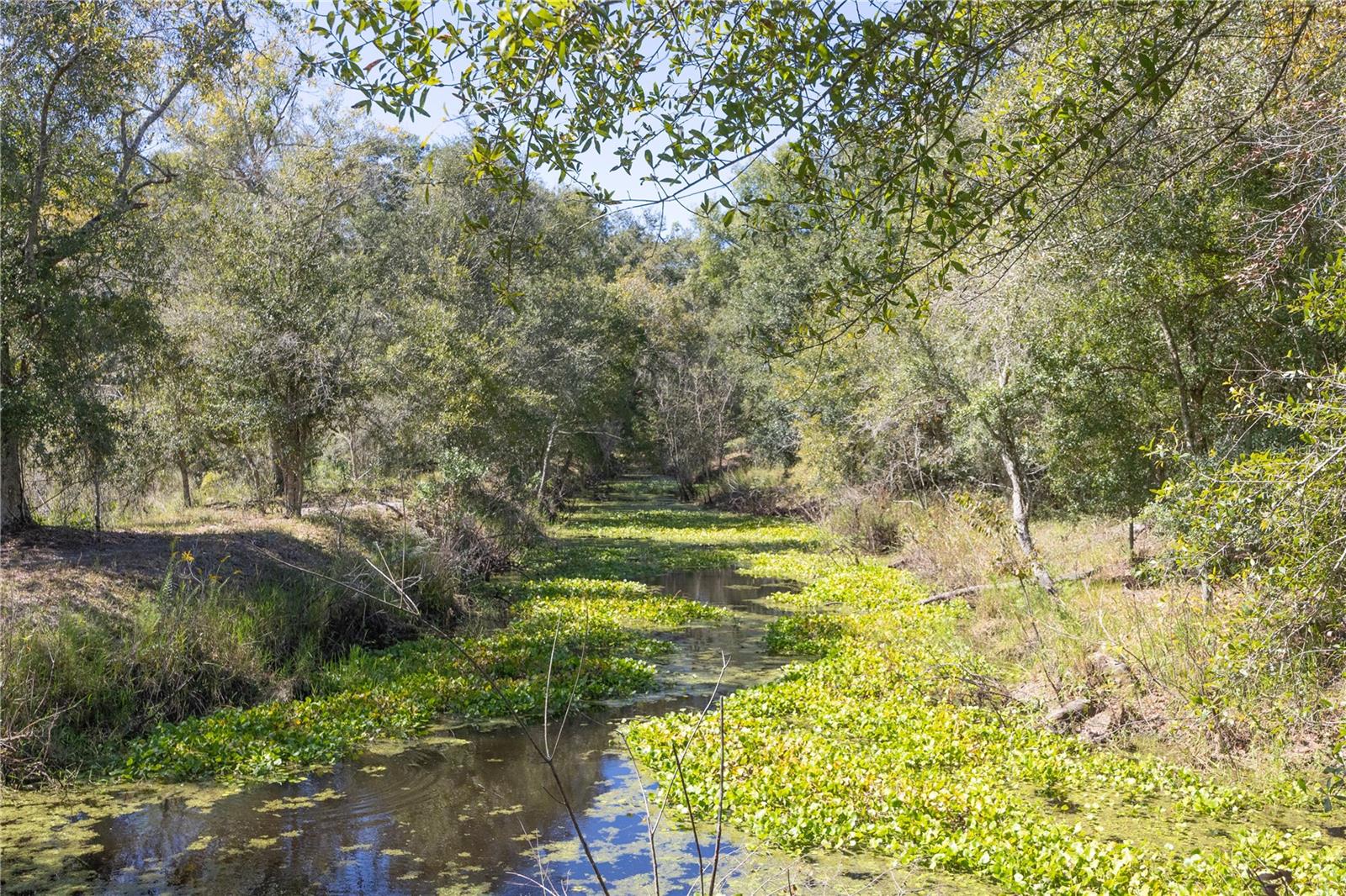 TBD CR 673, WEBSTER, FL, 33597