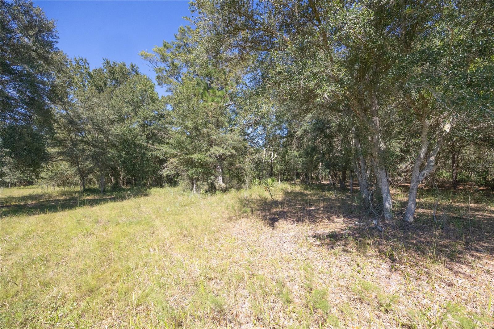 TBD CR 673, WEBSTER, FL, 33597