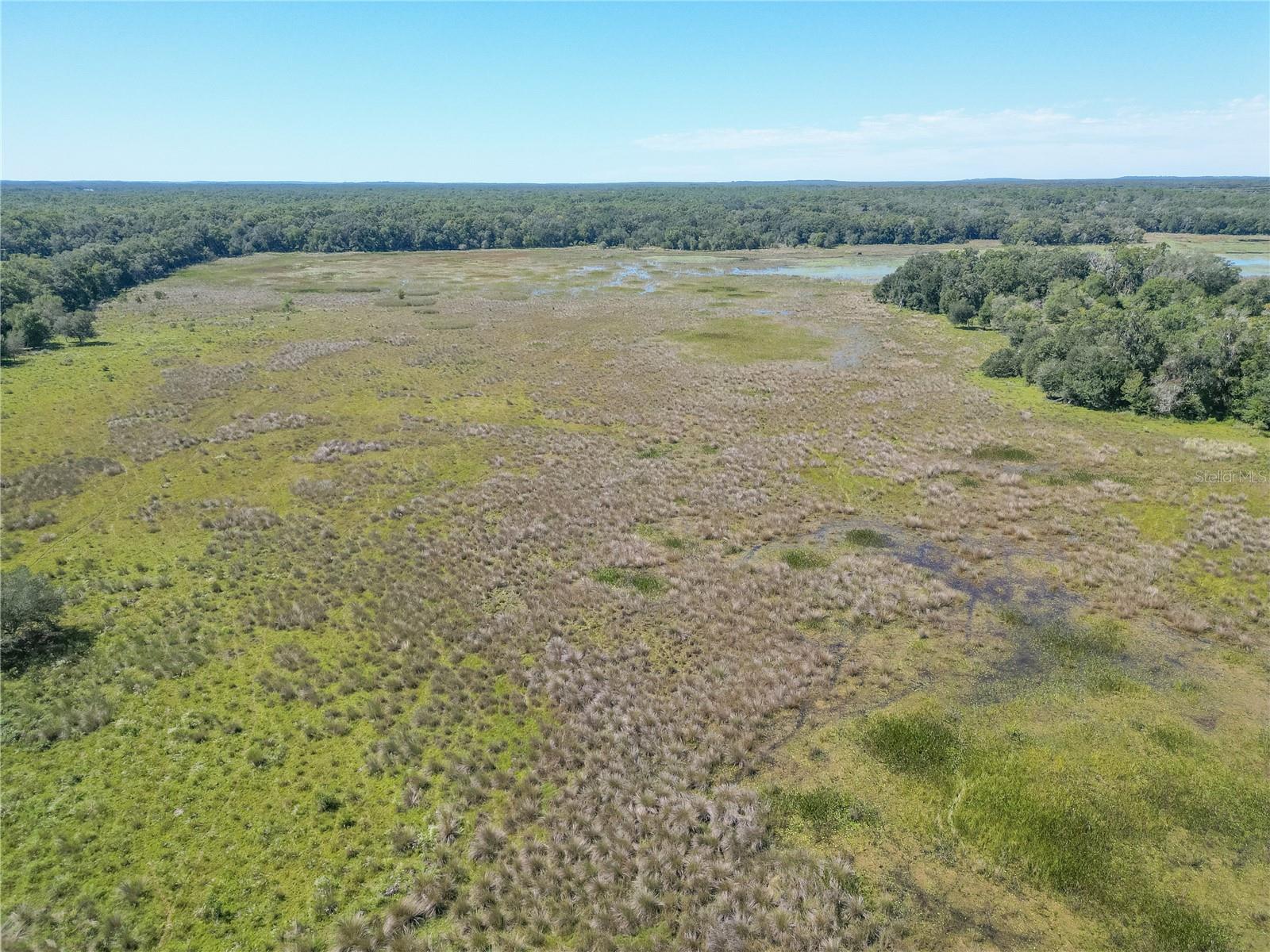 TBD CR 673, WEBSTER, FL, 33597
