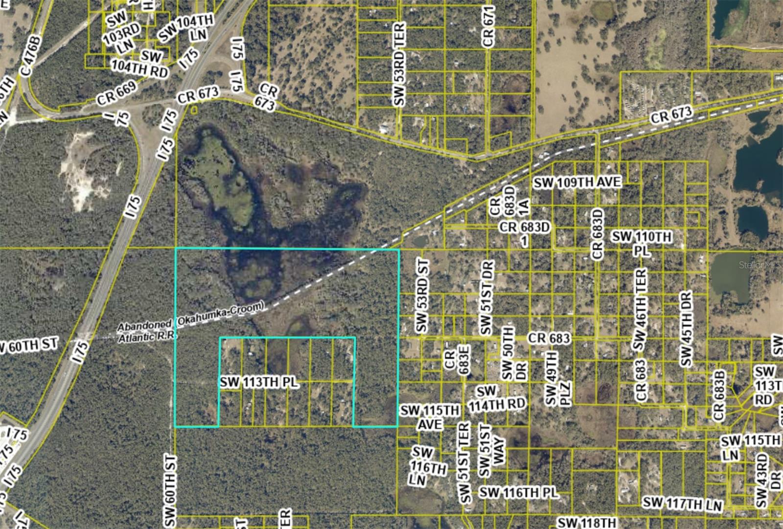 TBD CR 673, WEBSTER, FL, 33597