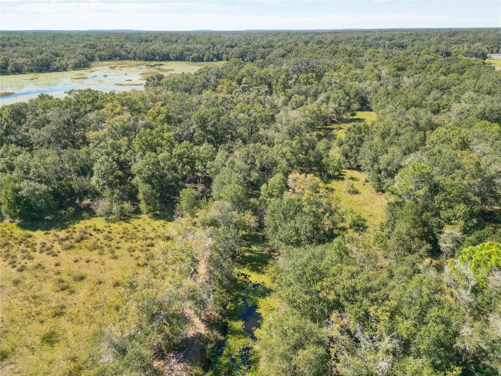 TBD CR 673, WEBSTER, FL, 33597