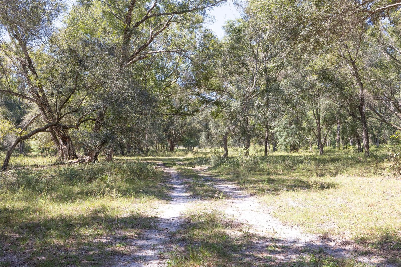 TBD CR 673, WEBSTER, FL, 33597