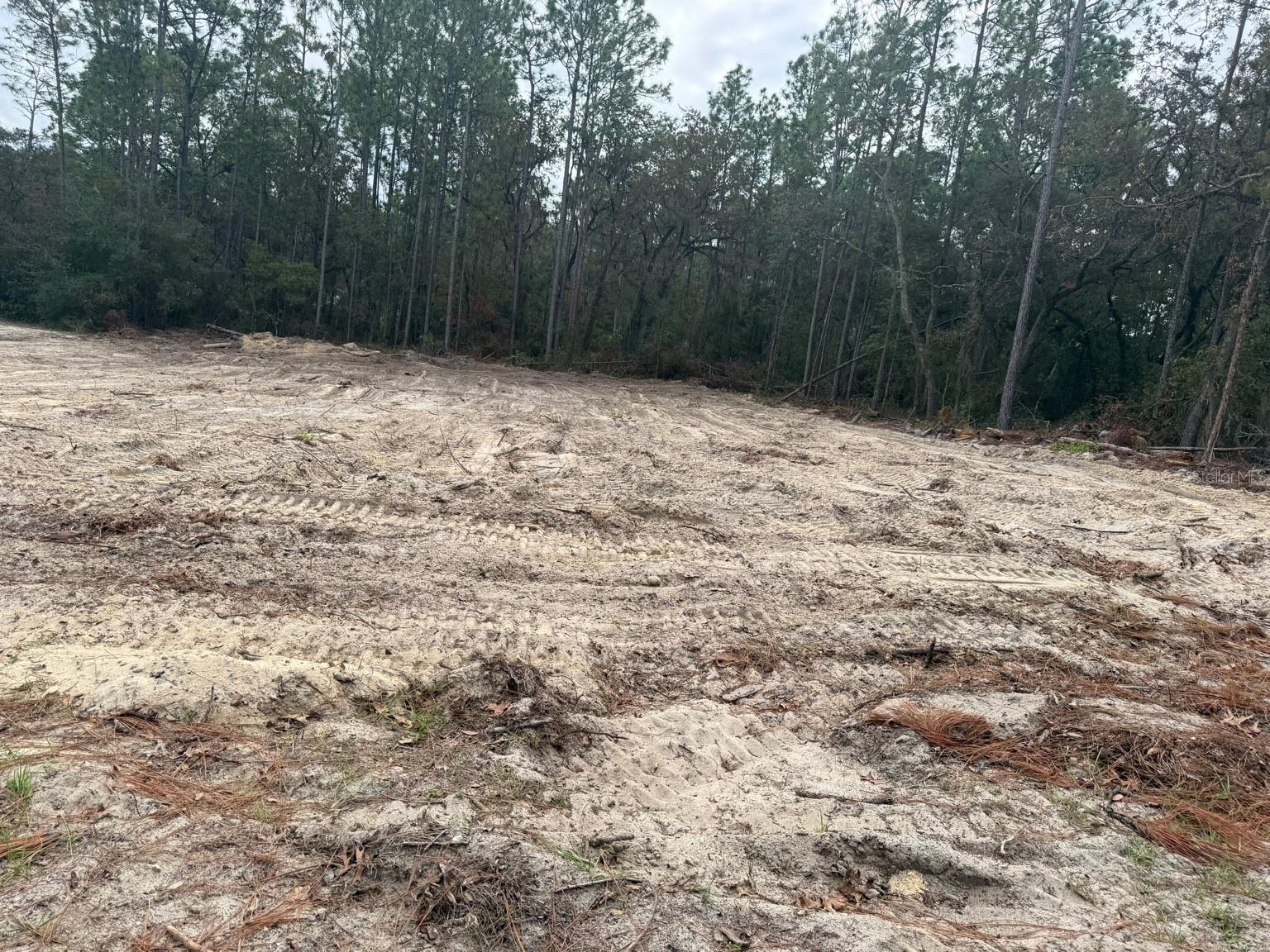 SW 66TH AVE RD, OCALA, FL, 34473