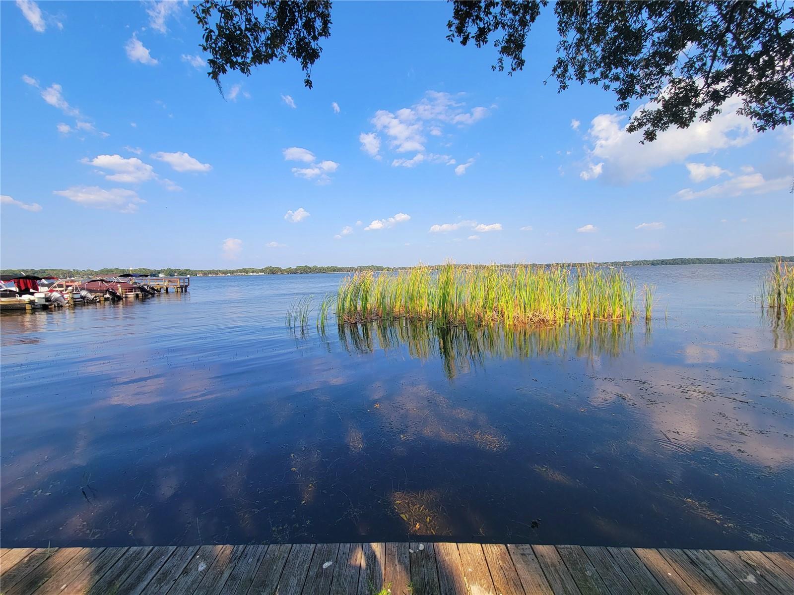 90 S HIGHLAND AVE #1216, TARPON SPRINGS, FL, 34689