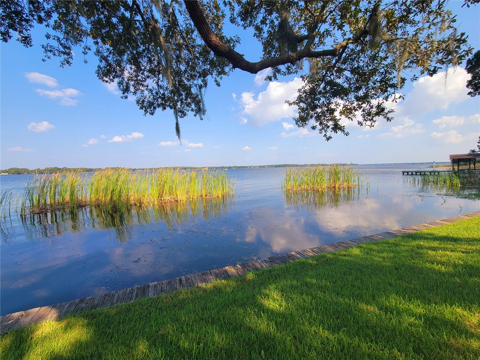 90 S HIGHLAND AVE #1216, TARPON SPRINGS, FL, 34689