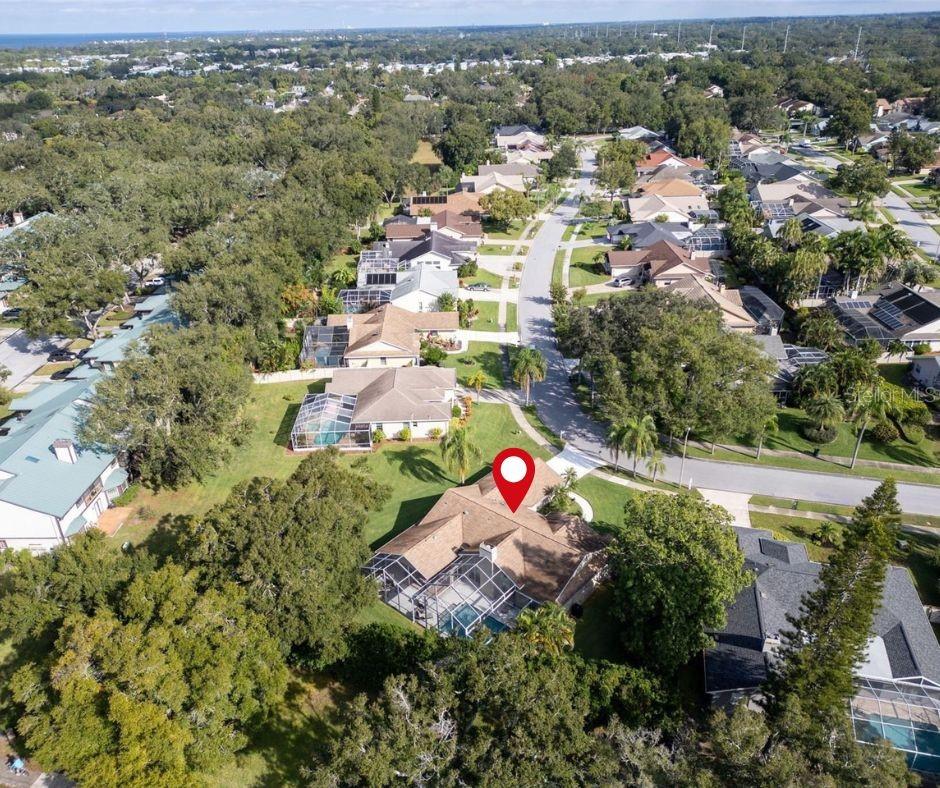 You'll love the lot & unbeatable location~