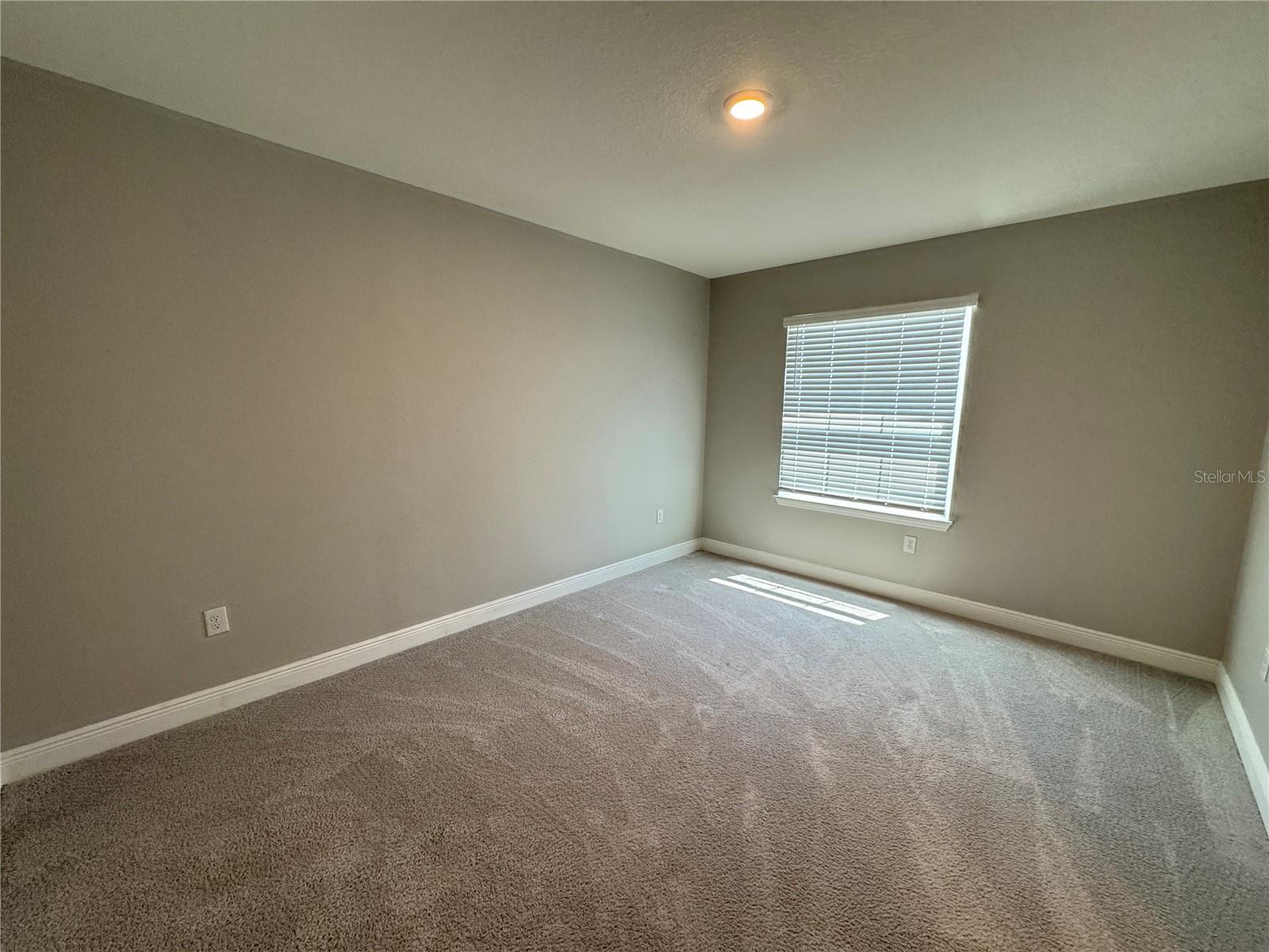 1381 BERING RD, WESLEY CHAPEL, FL, 33543