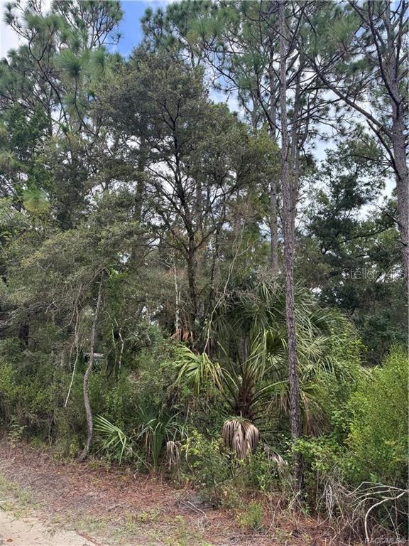 2963 N OAKLAND TER, CRYSTAL RIVER, FL, 34428