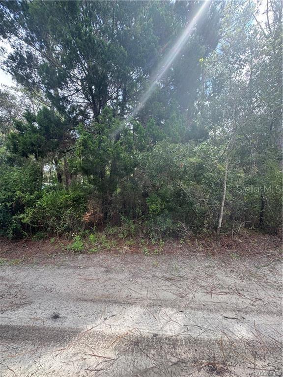 2963 N OAKLAND TER, CRYSTAL RIVER, FL, 34428