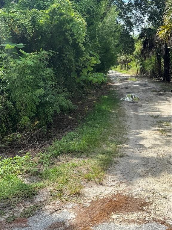 2963 N OAKLAND TER, CRYSTAL RIVER, FL, 34428