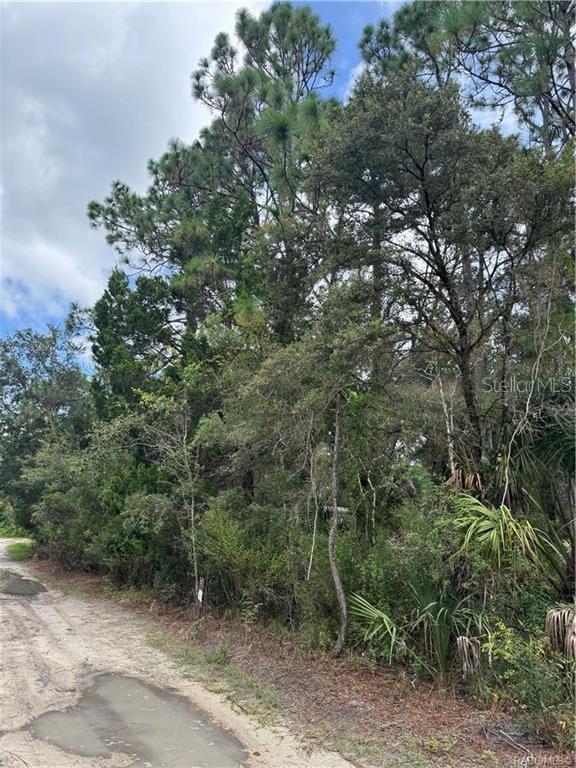 2963 N OAKLAND TER, CRYSTAL RIVER, FL, 34428