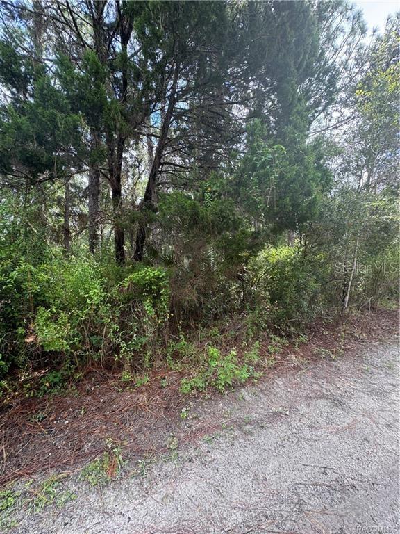 2963 N OAKLAND TER, CRYSTAL RIVER, FL, 34428