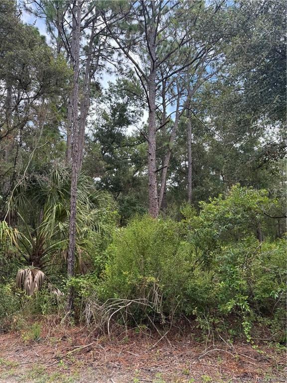 2963 N OAKLAND TER, CRYSTAL RIVER, FL, 34428